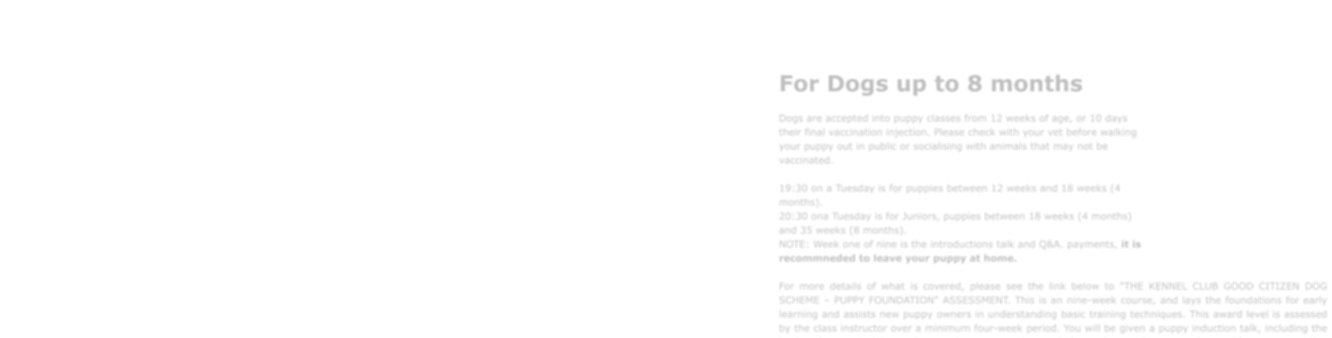 For Dogs up to 8 months Dogs are accepted into puppy classes from 12 weeks of age, or 10 days their final vaccination injection. Please check with your vet before walking your puppy out in public or socialising with animals that may not be vaccinated.  19:30 on a Tuesday is for puppies between 12 weeks and 18 weeks (4 months). 20:30 ona Tuesday is for Juniors, puppies between 18 weeks (4 months) and 35 weeks (8 months).NOTE: Week one of nine is the introductions talk and Q&A. payments, it is recommneded to leave your puppy at home.    For more details of what is covered, please see the link below to "THE KENNEL CLUB GOOD CITIZEN DOG SCHEME – PUPPY FOUNDATION" ASSESSMENT. This is an nine-week course, and lays the foundations for early learning and assists new puppy owners in understanding basic training techniques. This award level is assessed by the class instructor over a minimum four-week period. You will be given a puppy induction talk, including the basics of puppy training and answering any questions or help resolve any issues you have with your puppy. You will be given a Puppy Foundation Assessment Diary to track your progress, and it will need to be submitted at the end so that we can generate your certificate.